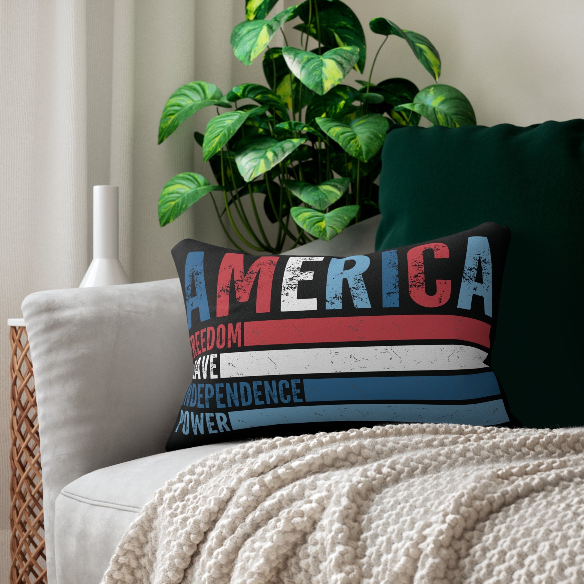 Decorative pillow with 'AMERICA' text on a couch with a plant in the background